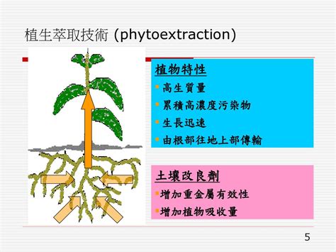 植物吸收重金屬